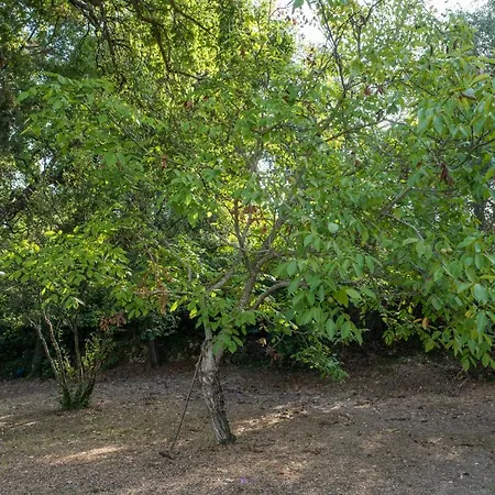Dafnies דירה Agios Prokopios (Corfu)